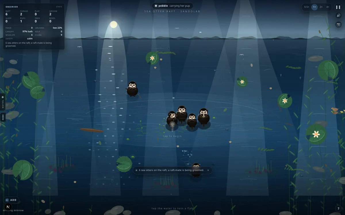 Sea Otter Raft — live screenshot