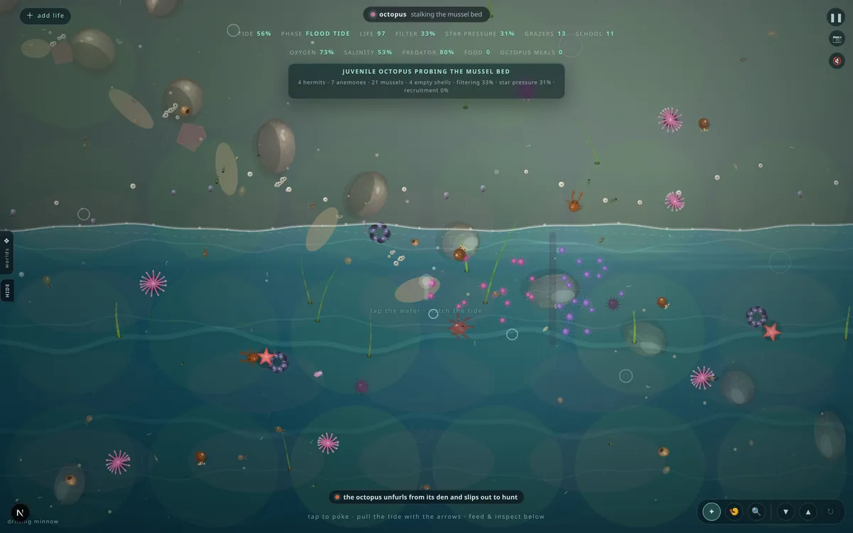 Tidepool — live screenshot
